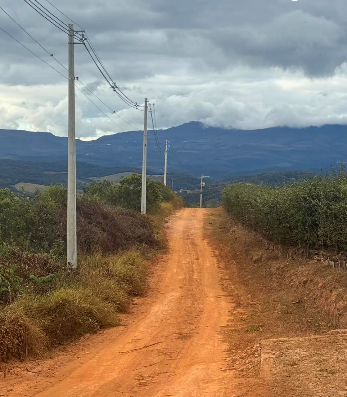 Cavalgada em família no terreno